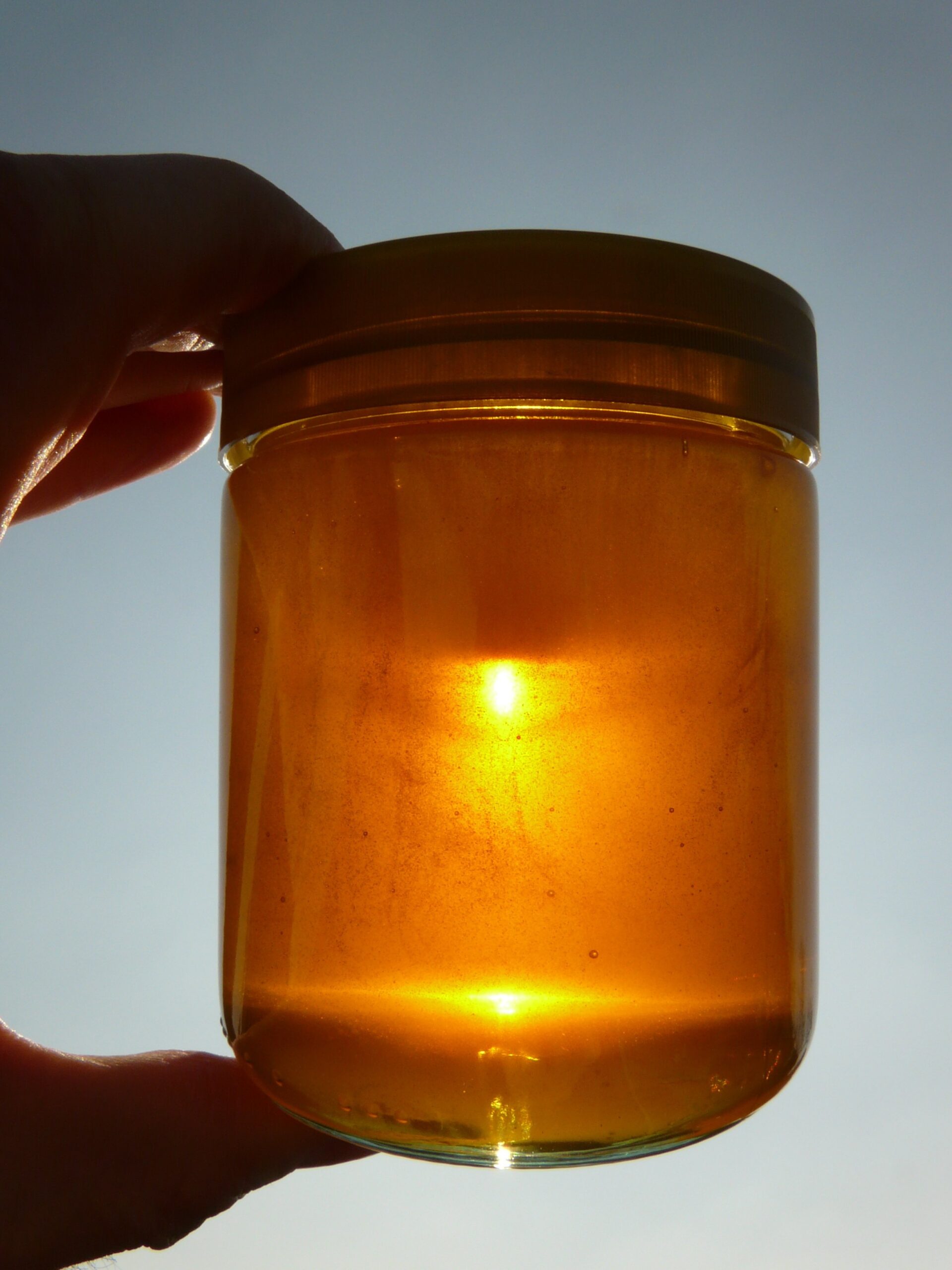 You are currently viewing Ghee, mantequilla y más