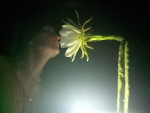 Read more about the article Hay un aroma en el aire