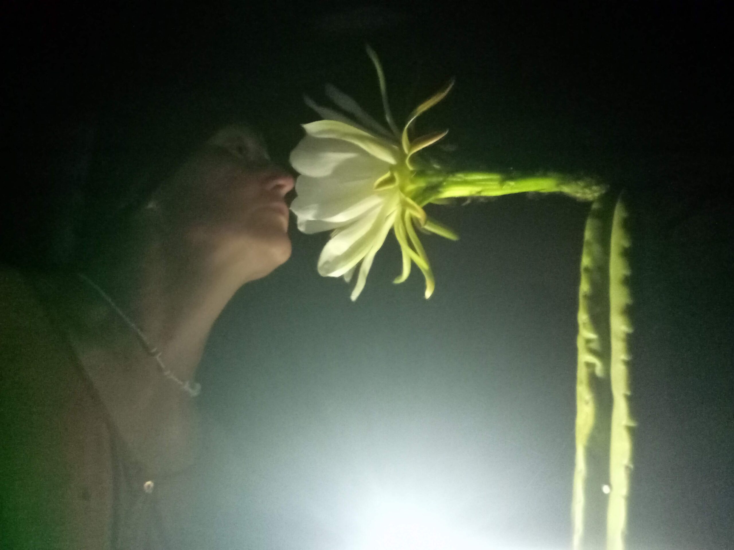 You are currently viewing Hay un aroma en el aire